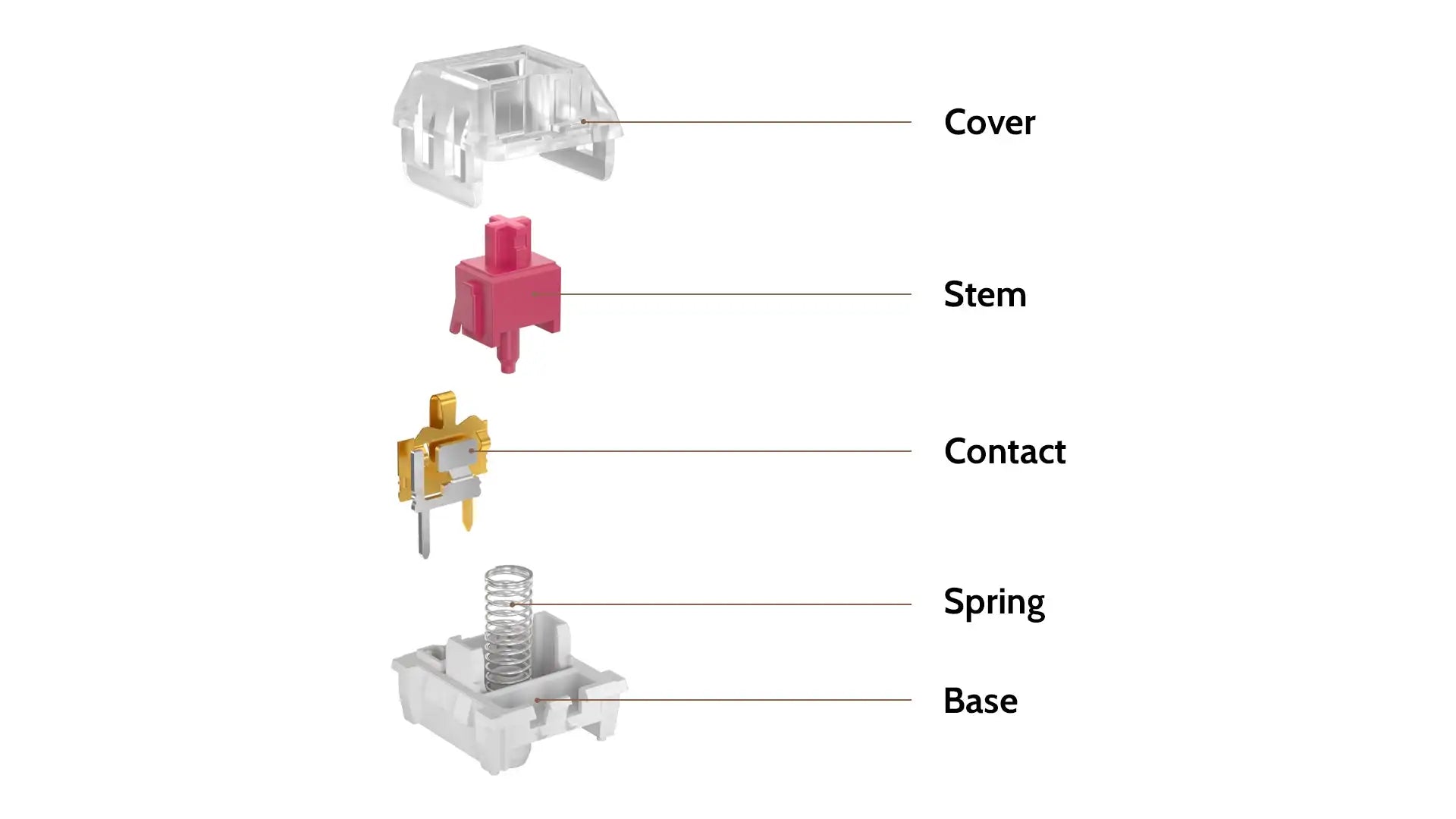 QuanGear Kailh Pro Switch 110 Pcs for Mechanical Keyboard